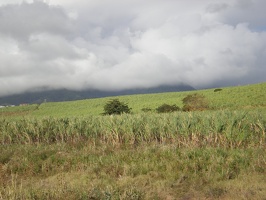 St Kitts Train Ride11